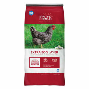 Laying Hen Feed