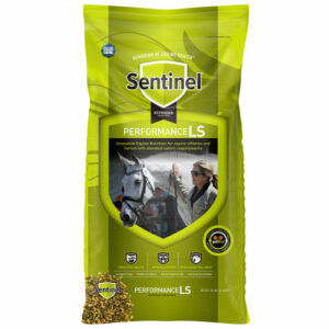 Horse Feed Blue Seal