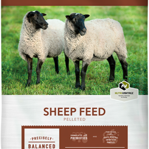 Goat & Sheep Feed